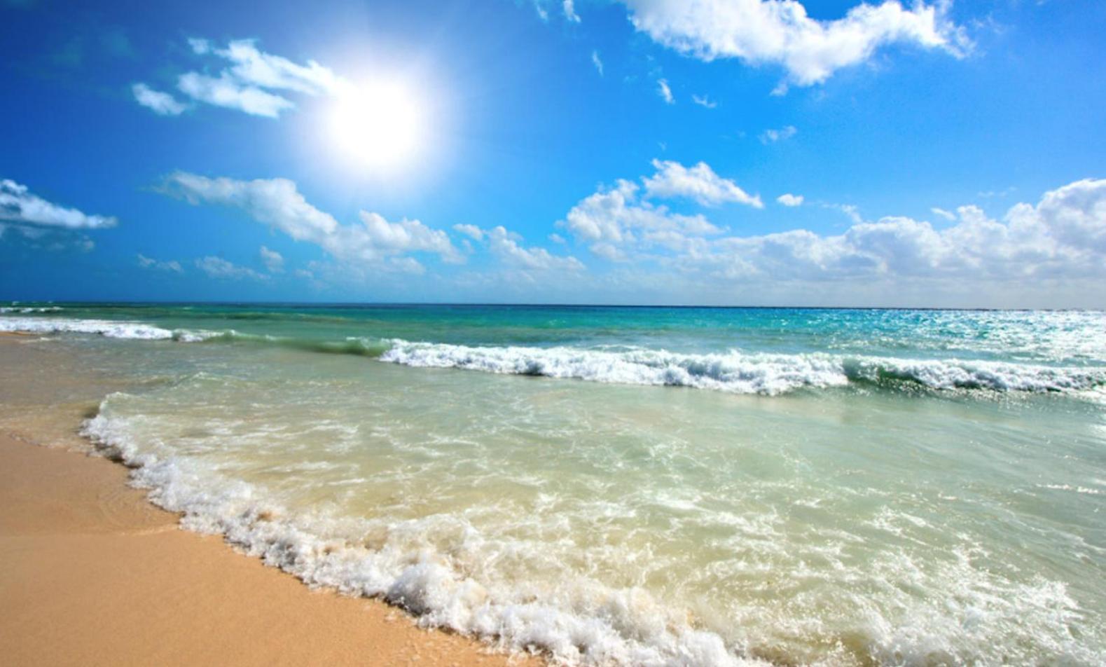 Sunny Beach Plaza 17 Apartment Ngoại thất bức ảnh